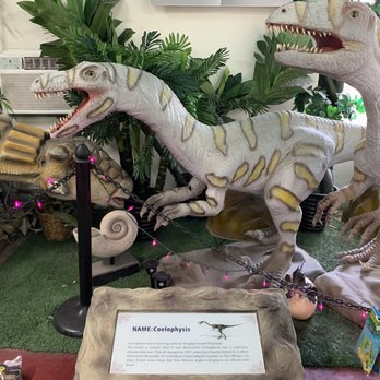 Mr. Rex’s Dinosaur Adventure - Children's Museums Near Me - Cabazon, California