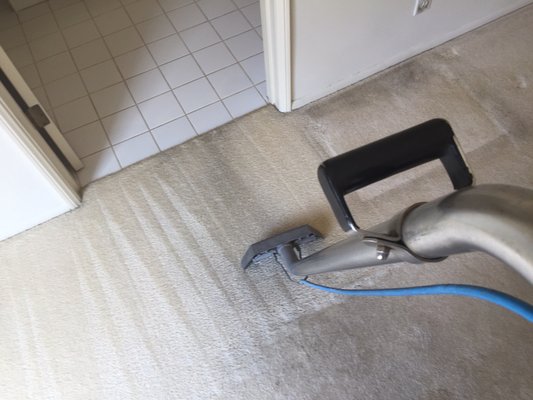 SOUTHERN CALIFORNIA CARPET CLEANING - Updated January 2025 - 29 Reviews