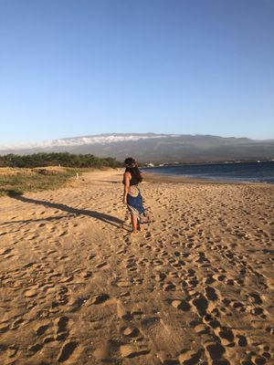 Haku Maui by null