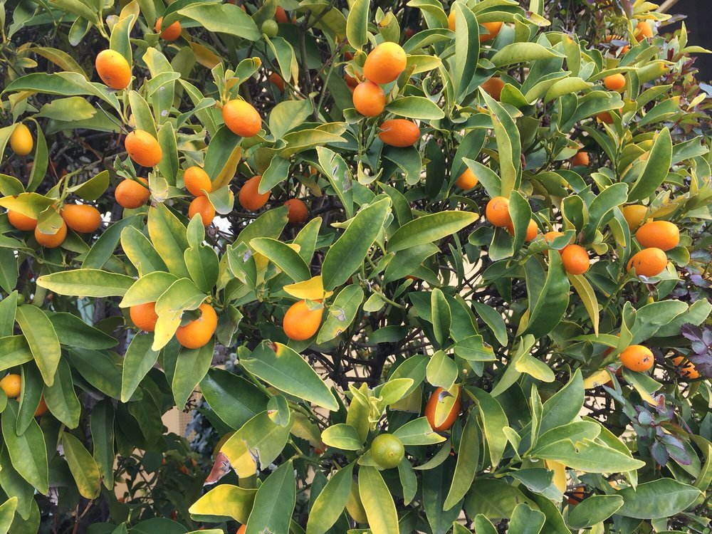 EL RANCHO MOBILE HOME PARK Updated September 2024 10 Photos 1830