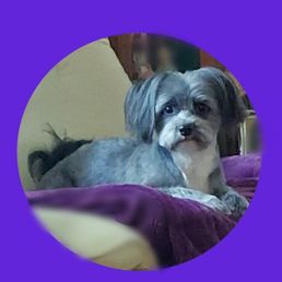 Feeling handsome after being groomed. Feeling handsome after being groomed.