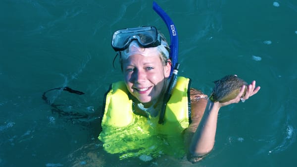 Breakaway Cruises by null