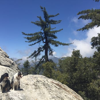 Thousand Trails - Campgrounds Near Me - Idyllwild, California Thousand Trails - Campgrounds Near Me - Idyllwild, California