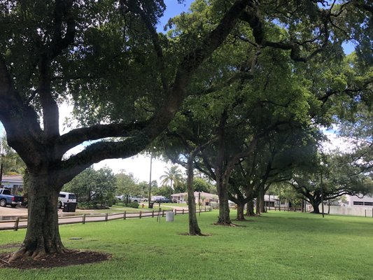 FLAMINGO PARK - 10 Photos - 1600 SW 21st Way, Fort Lauderdale, FL - Yelp