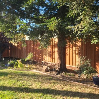 ENG Fencing - Backyard picture frame redwood fence - Fences & Gates Near Me ENG Fencing - Backyard picture frame redwood fence - Fences & Gates Near Me