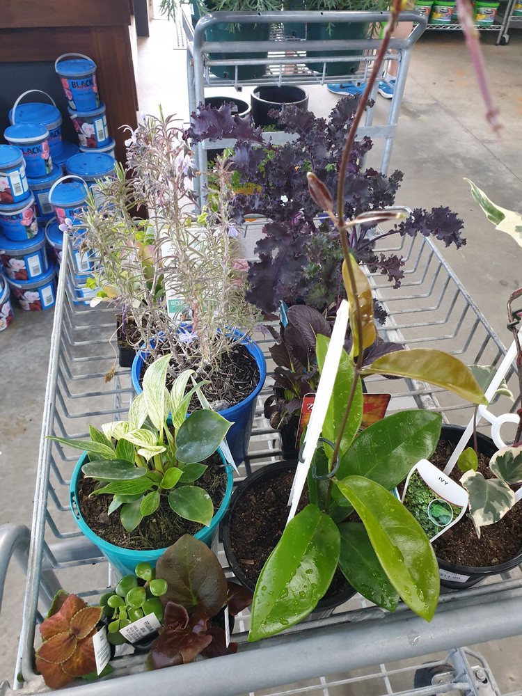 WALDECKS 118 North Lake Rd, Melville Western Australia, Australia