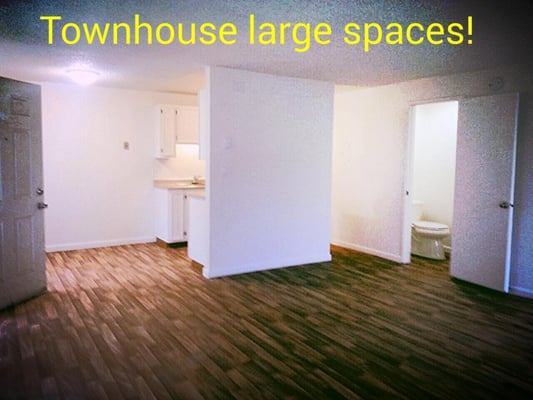 Boulder Gardens by null