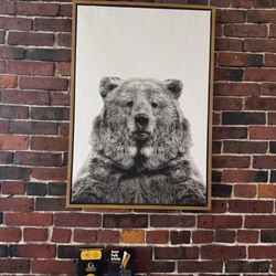 Portland Beer Hub - The other "window" with Mr.Bear