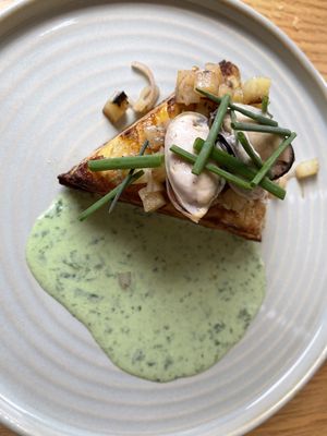 Maude & the Bear by null