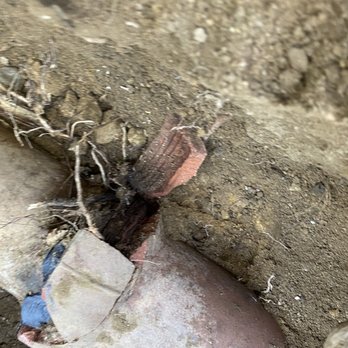 Pinnacle Plumbing - 100% blocked with root - Plumbing Near Me - RimForest, California