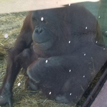 Virginia Zoo - Zoos Near Me - Norfolk, Virginia