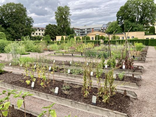 The Linnaeus Museum by null