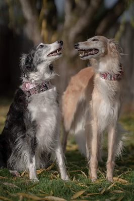 Matt Hodel Photography