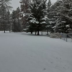 North Country Store and Campground - So beautiful
