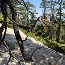 Tahoe Geology Tours