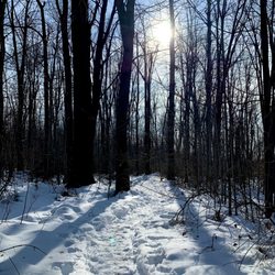 Tillman Road Wildlife Management Area