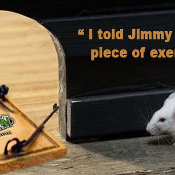 Peters Pest Control And Termite Services - Rodent removal - Pest Control Near Me Peters Pest Control And Termite Services - Rodent removal - Pest Control Near Me