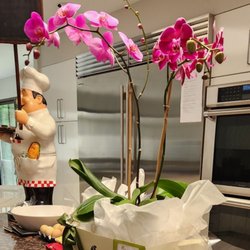 McArdle's Floral & Garden Design