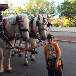 Matthew insisted on a picture with our horses, Emmie and Cinder!