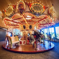 Roaring Rapids Pizza Co - Carousel