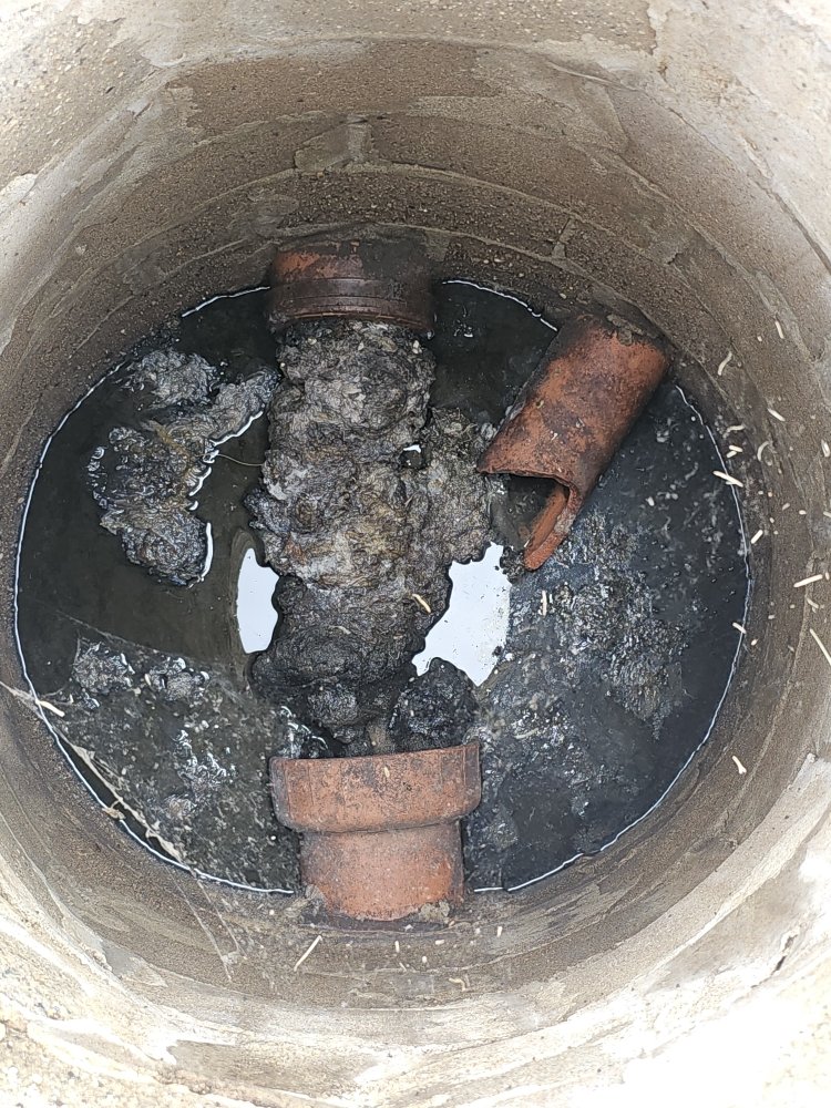 Slide of Beebe's Camera and Clean