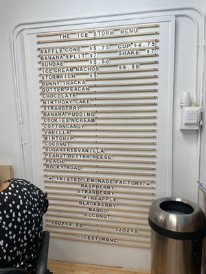 The Ice Storm by null