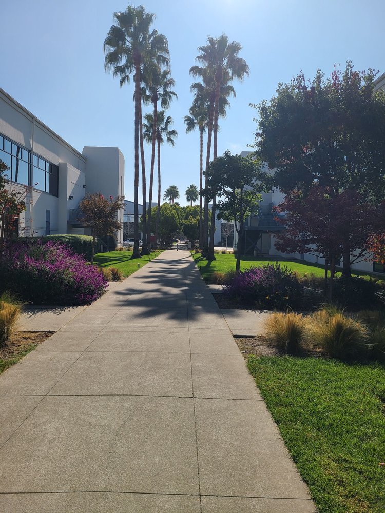 Birkenstock USA gift card