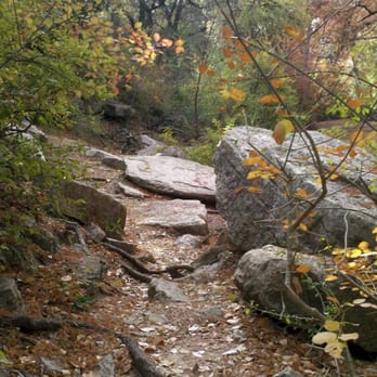 Cibolo Nature Center - Summer Camps Near Me - Boerne, Texas Cibolo Nature Center - Summer Camps Near Me - Boerne, Texas