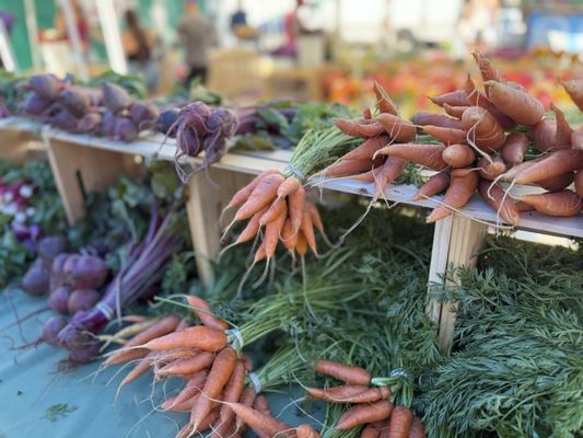 Hillcrest Farmers Market by null