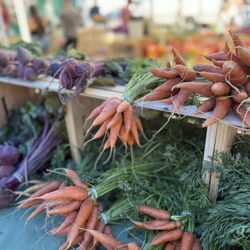 Hillcrest Farmers Market - Carrots and beets