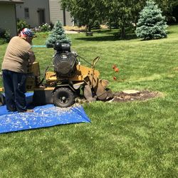 Painless Stump Grinding - He was very careful not to disturb any of the surrounding area, other than the work area. His machine never made marks in my lawn.