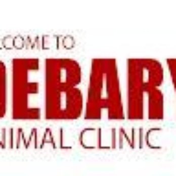 DeBary Animal Clinic - Veterinarians Near Me - DeBary, Florida DeBary Animal Clinic - Veterinarians Near Me - DeBary, Florida