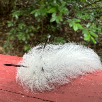 Mobile Japanese Garden - Caterpillar - Botanical Gardens Near Me - Mobile, Alabama Mobile Japanese Garden - Caterpillar - Botanical Gardens Near Me - Mobile, Alabama