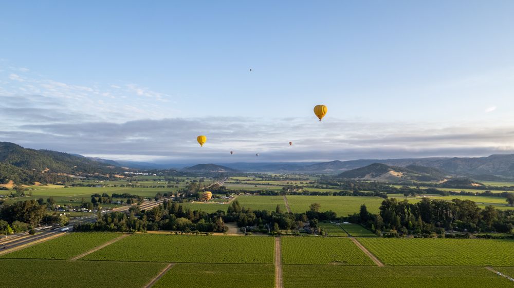 Social spots from Napa Valley Balloons