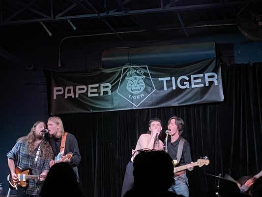 Paper Tiger by null