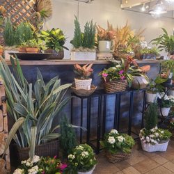 Anything With Plants And Flowers