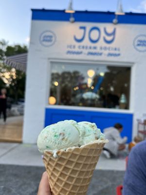 Joy Ice Cream Social by null