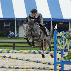Progressive Riding Program - PRP Amergin at the Upperville horse show doing his 1st Jumper class. Hunters or Jumpers we can take you to the show ring.