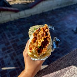 Asada Al Pastor Burrito