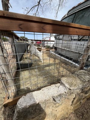 The Best of Texas Food and Wine Festival by null