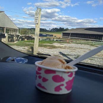 South Mountain Creamery - Pumpkin cheesecake ice cream - Ice Cream & Frozen Yogurt Near Me - Middletown, Maryland South Mountain Creamery - Pumpkin cheesecake ice cream - Ice Cream & Frozen Yogurt Near Me - Middletown, Maryland