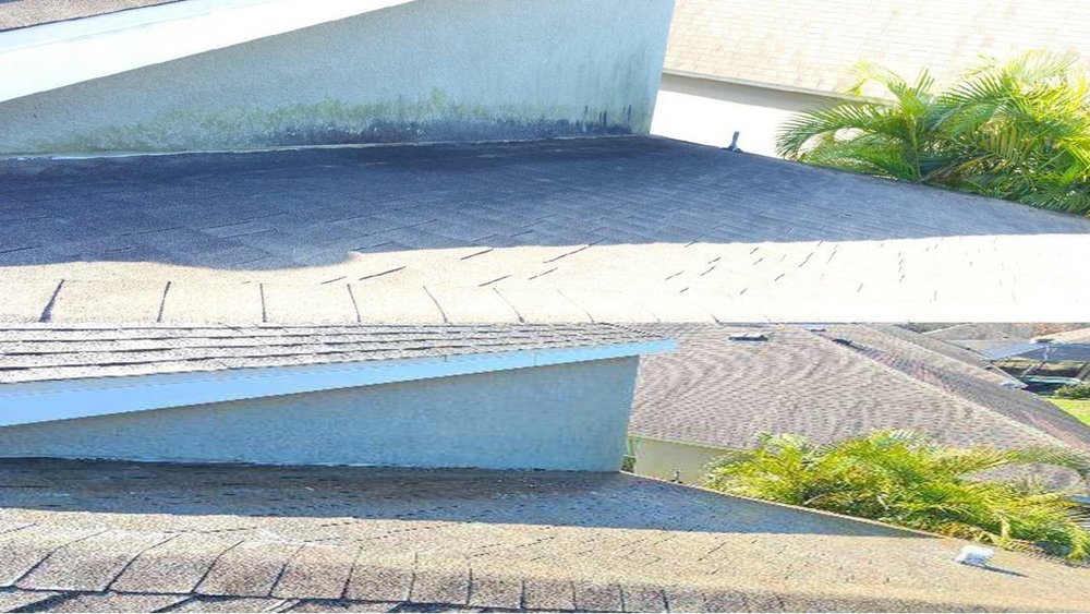 Slide of Bright Brothers of East Tampa