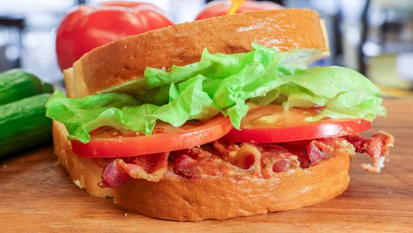 Mr. Sandwich by null