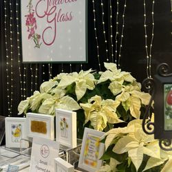 Washington Floral Service - White poinsettias