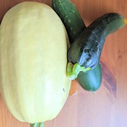 Stanton Heights Allegheny Cemetery Community Garden - Spaghetti Squash with Zucchini and Cucumber