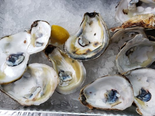 Photo of JJR Highridge Fishery - Yonkers, NY, US.