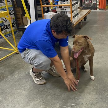 Kanye Corso Training - Pet Training Near Me - Alvin, Texas Kanye Corso Training - Pet Training Near Me - Alvin, Texas
