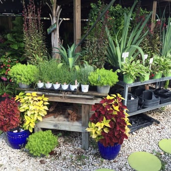 Earl S Garden Nursery Nurseries Gardening 3627 Earl S Garden Nursery Nurseries