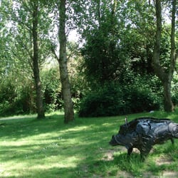 Truith the Boar Sculpture - Truith the Boar Sculpture, Llanelli
