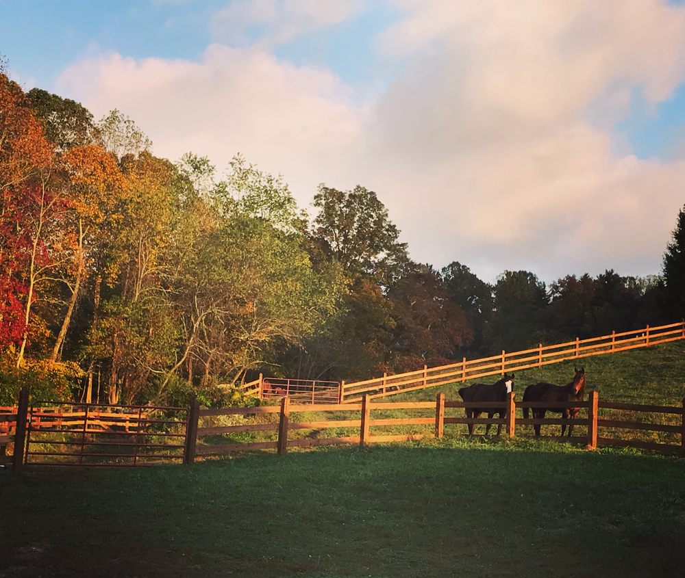 Breezy Valley Farm Logo